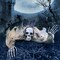 65 Inch Halloween Decorations Skeleton, Halloween Prop for Halloween Outdoor, Lawn, Yard, Patio Decoration, Graveyard Haunted House Decorations